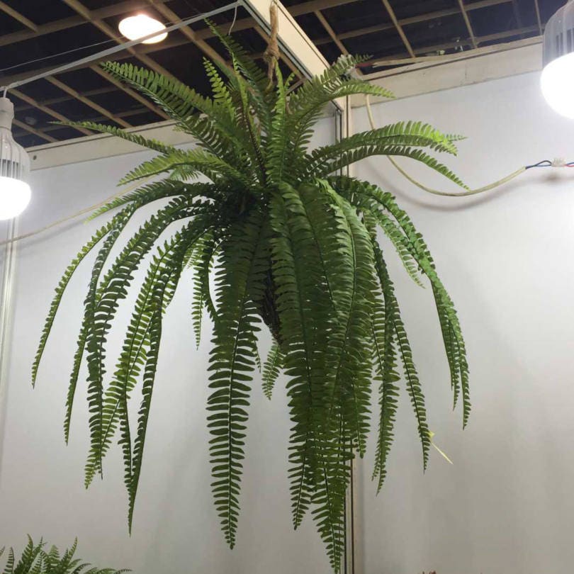 Boston Fern Plant 70cm/27.56"Artificial Simulation Persian Leaves Hanging Basket Greenery,Indoor/Outdoor Hanging Plant