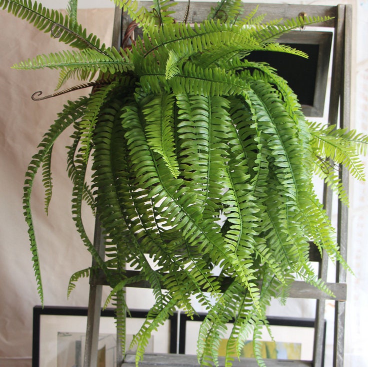 Boston Fern Plant 70cm/27.56"Artificial Simulation Persian Leaves Hanging Basket Greenery,Indoor/Outdoor Hanging Plant