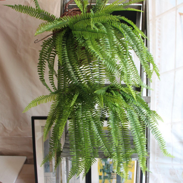 Boston Fern Plant 70cm/27.56"Artificial Simulation Persian Leaves Hanging Basket Greenery,Indoor/Outdoor Hanging Plant