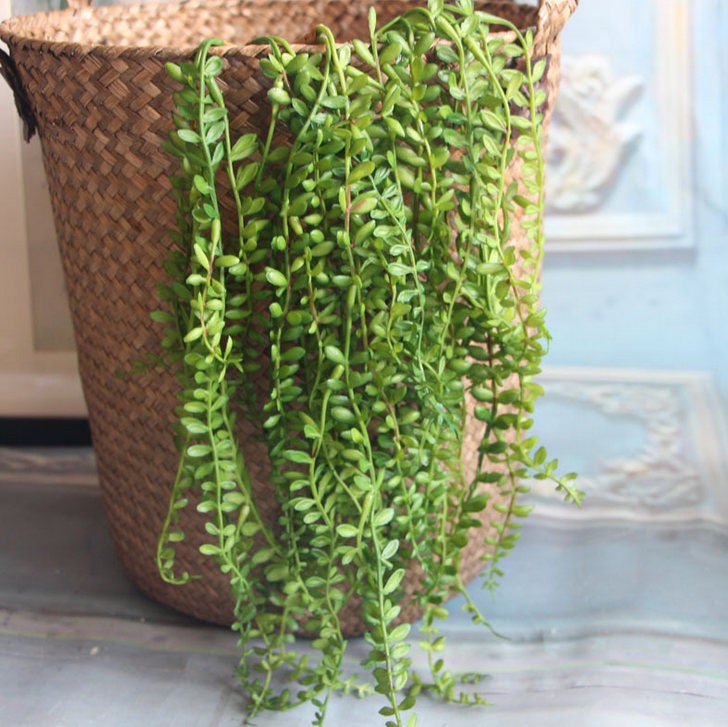 10pcs Length 45cm Artificial Simulation Fern leaves hanging basket flower vine plastic artificial plants Ivy Garland