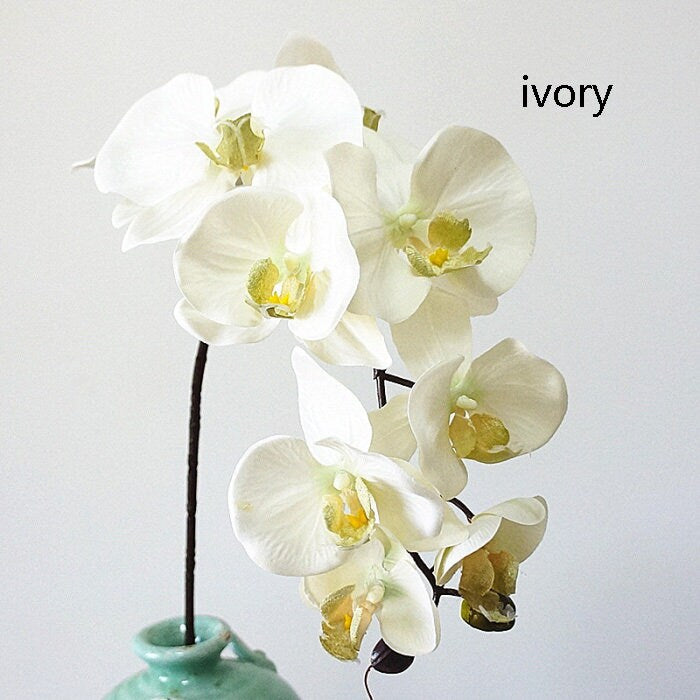 2 Stems Luxury Silk Flower Silk Butterfly Orchid Stem 37" Tall For Wedding Table Centerpieces Butterfly Orchid Phalaenopsis