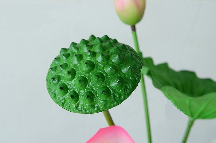 5 Stems Artificial Simulation Water Lily Seedpod Fish Tank Pond Decoration Plants Length 70cm/27.56"
