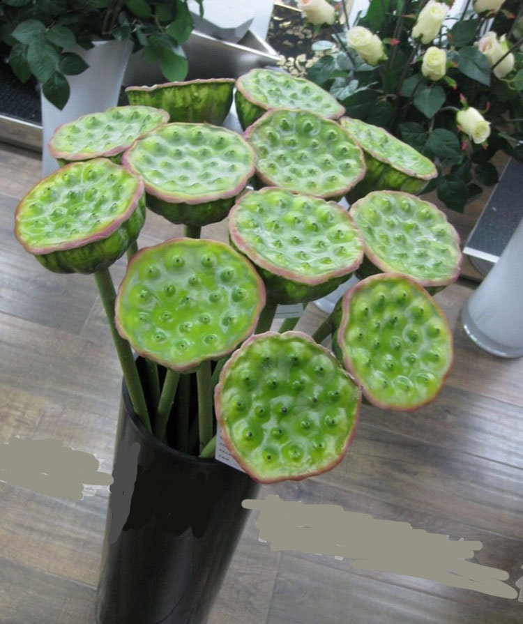 5 Stems Artificial Simulation Water Lily Seedpod Fish Tank Pond Decoration Plants Length 70cm/27.56"
