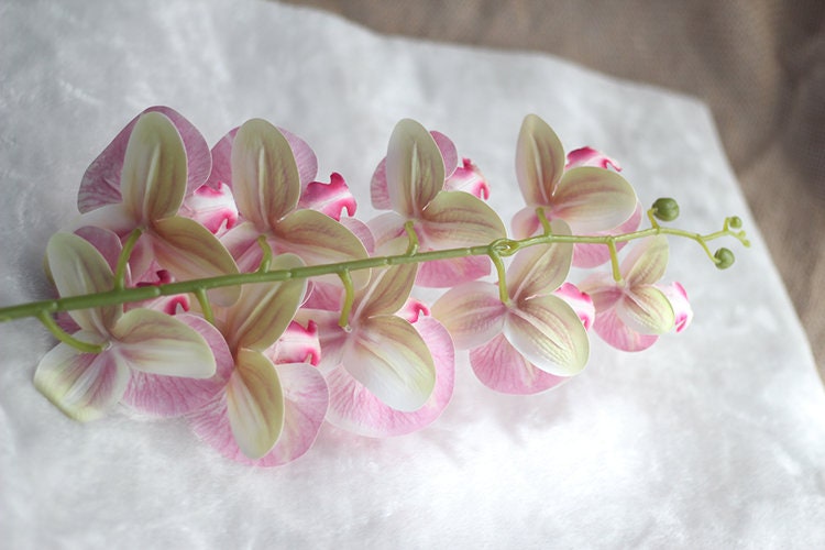 5 Stems Feel Hand Touch Simulation 3D Orchids Flowers Length 107cm/42.12" Wedding Dinner Venue Decoration Butterfly Phalaenopsis Flowers