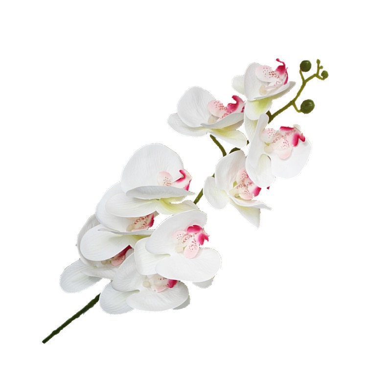 5 Stems Feel Hand Touch Simulation 3D Orchids Flowers Length 107cm/42.12" Wedding Dinner Venue Decoration Butterfly Phalaenopsis Flowers