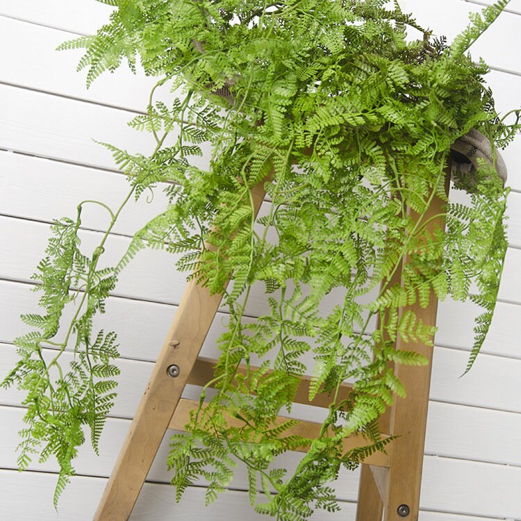 Hanging Plants Artificial Persian Fern Leaf Simulated Persian Leaf Rattan Vine Rattan for HomeWedding Decorations Backdrop Arrangement