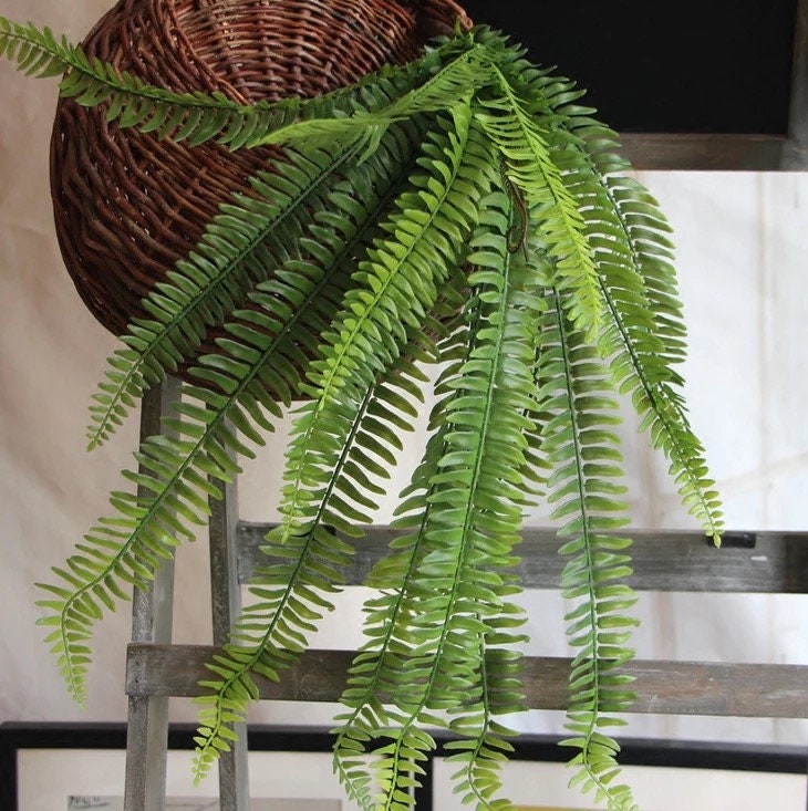 Boston Fern Plant 70cm/27.56"Artificial Simulation Persian Leaves Hanging Basket Greenery,Indoor/Outdoor Hanging Plant