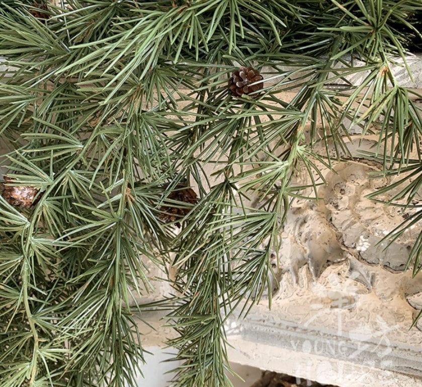 Artificial Simulation Pine Needle Emulation Pine Nut Branches Hanging Basket Fake Plants For Wedding Event Home Decoration Length 80cm/31.5"