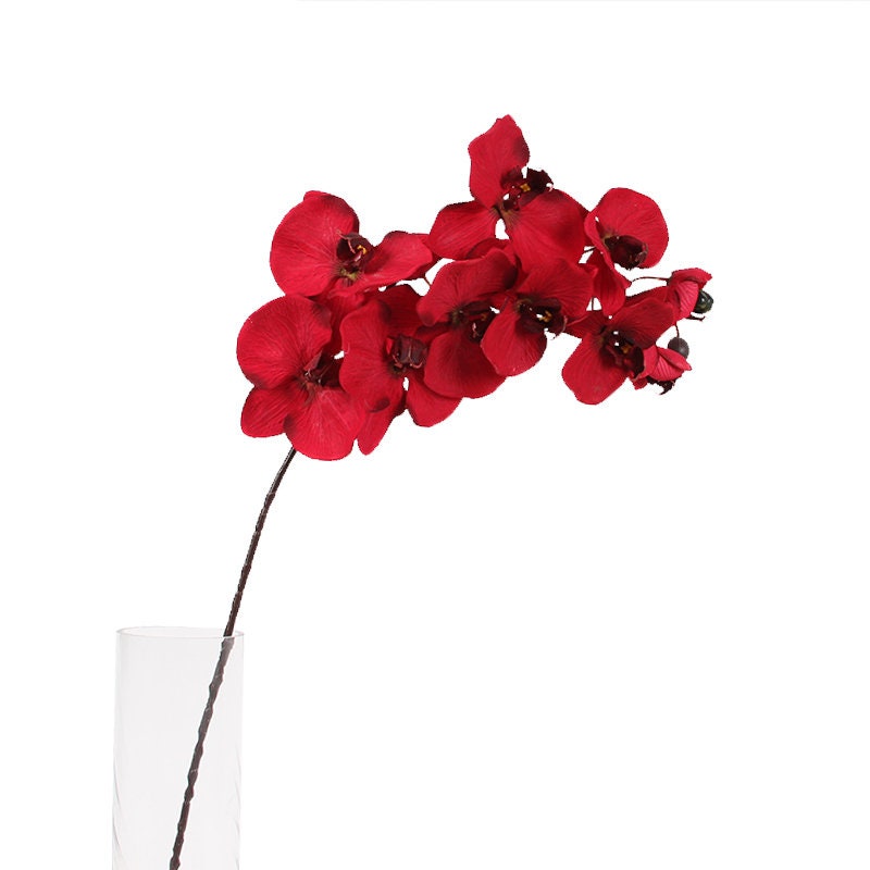 Dark Red Luxury Silk Flower Silk Butterfly Orchid Stem 37" Tall Wedding Table Centerpiece Butterfly Orchid Phalaenopsis