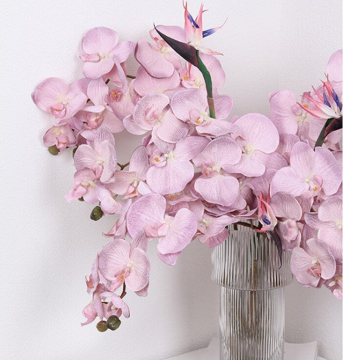 Luxury Silk Flower Silk Butterfly Orchid Stem 37" Tall For Wedding Table Centerpieces Butterfly Orchid Phalaenopsis