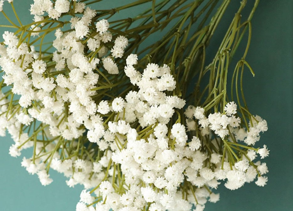 White Babys Breath Bouquet Flowers Length 65cm Artifical Simulation Breath Wedding Decorate Florals Table Centerpieces Flowers