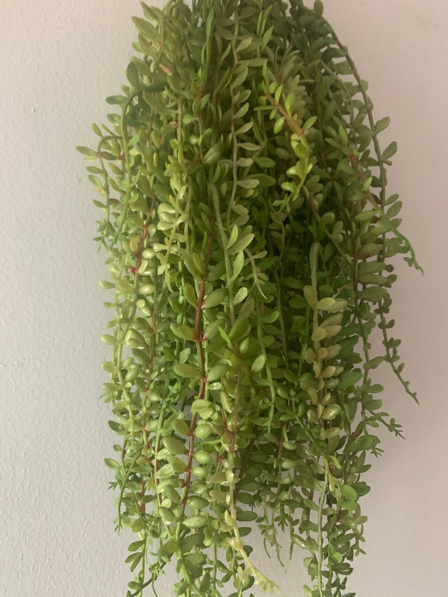 10pcs Length 45cm Artificial Simulation Fern leaves hanging basket flower vine plastic artificial plants Ivy Garland