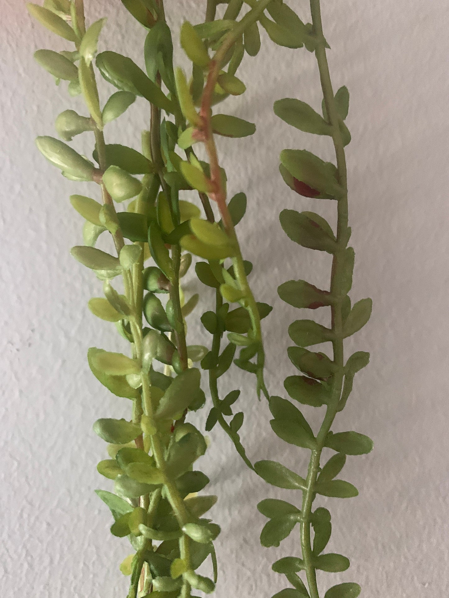 10pcs Length 45cm Artificial Simulation Fern leaves hanging basket flower vine plastic artificial plants Ivy Garland