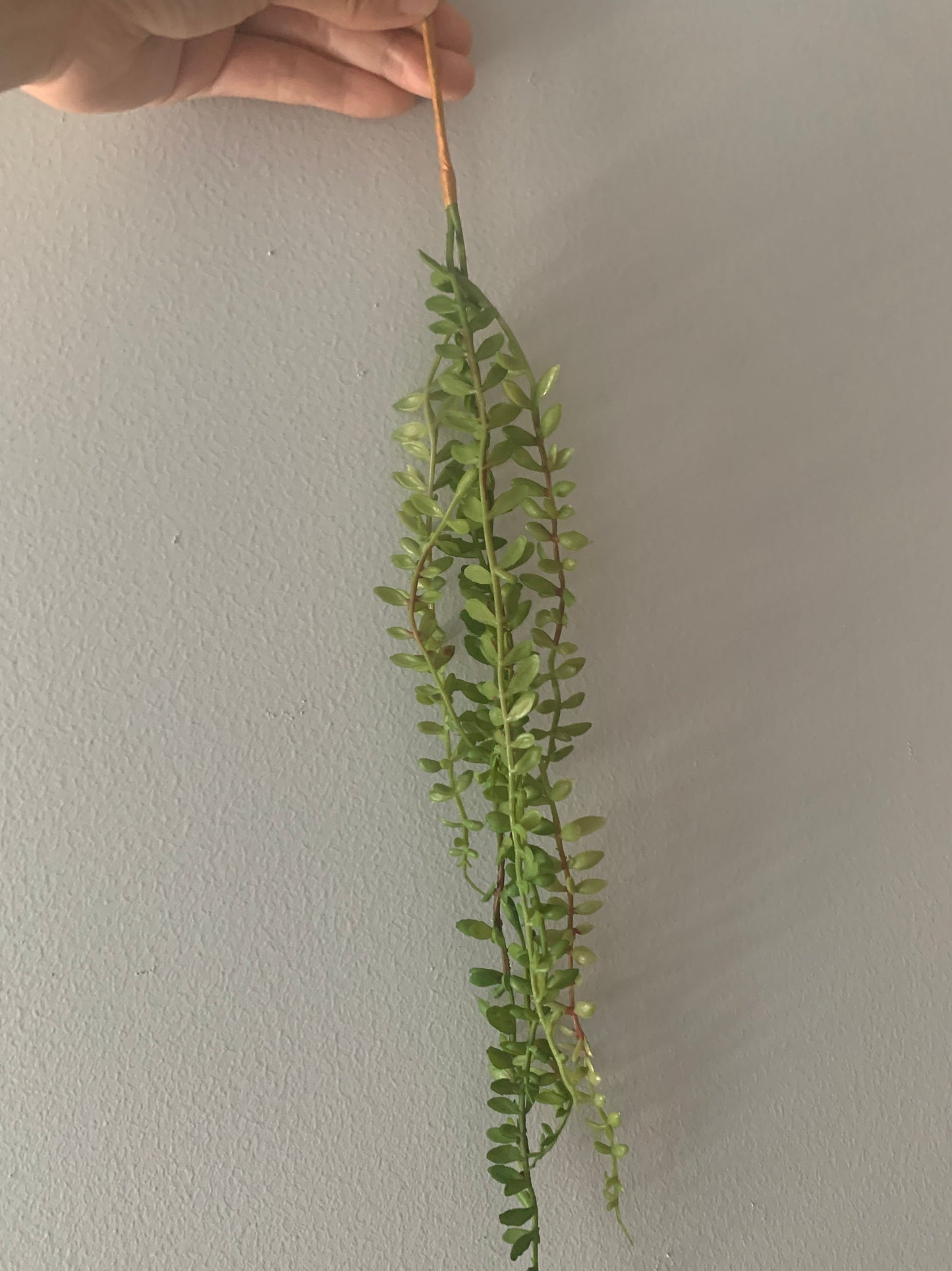 10pcs Length 45cm Artificial Simulation Fern leaves hanging basket flower vine plastic artificial plants Ivy Garland