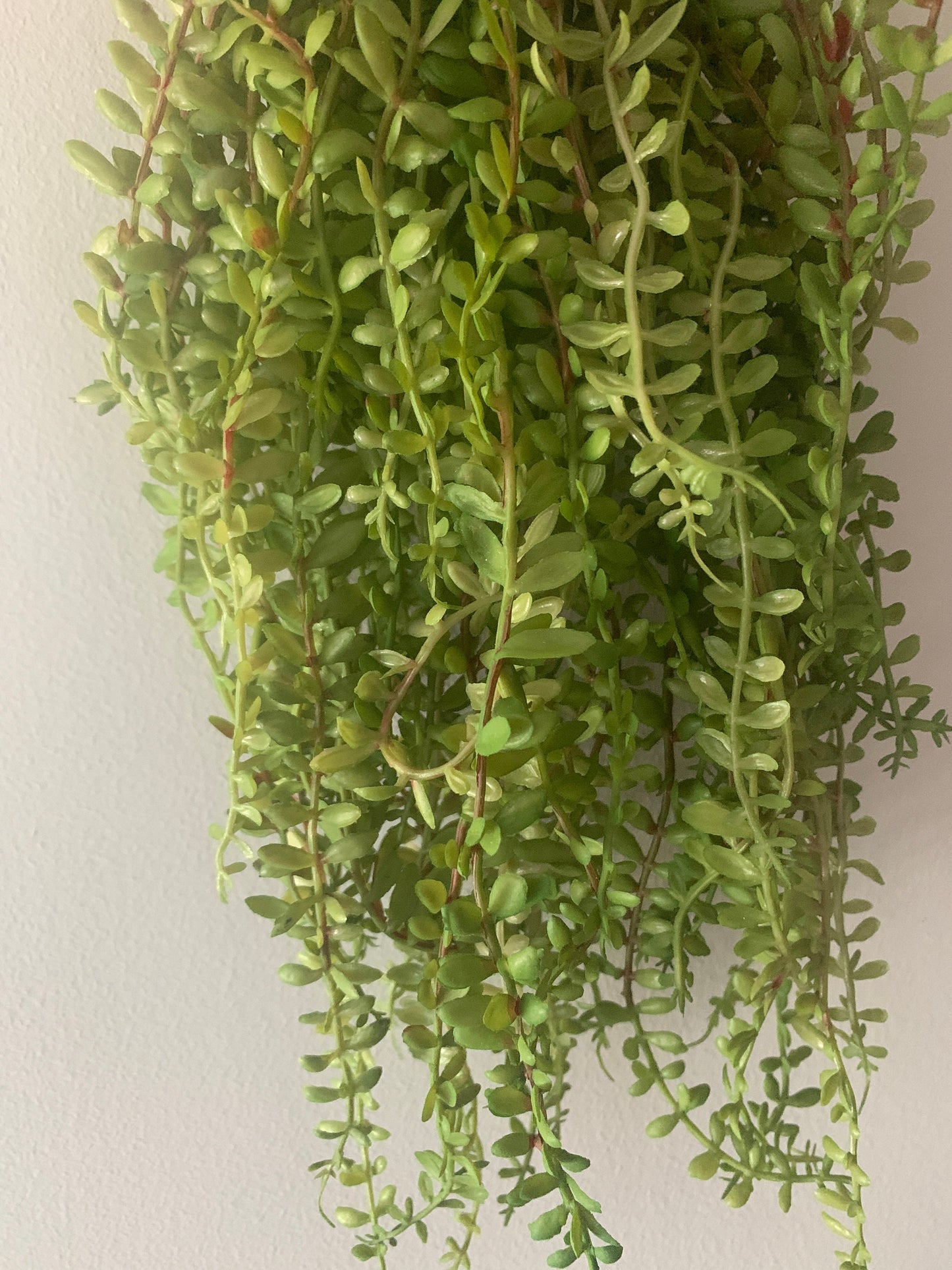 10pcs Length 45cm Artificial Simulation Fern leaves hanging basket flower vine plastic artificial plants Ivy Garland