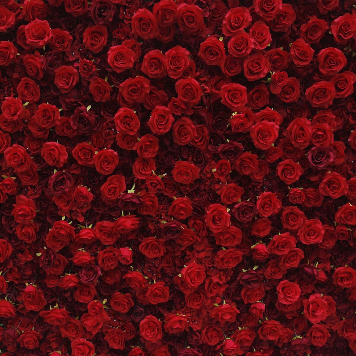 Full Red Flower Wall For Wedding Arrangement Event Salon Party Photography Backdrop Fabric Rolling Up Curtain Fabric Cloth