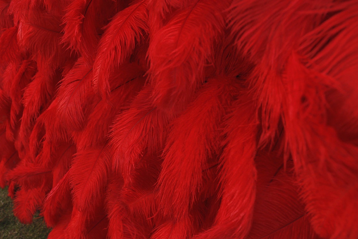 3D RED Feather Wall On Cloth Fabric Wedding Party Photo Backdrop Bridal Shower Special Event Top Quality Easy Quick Assemble