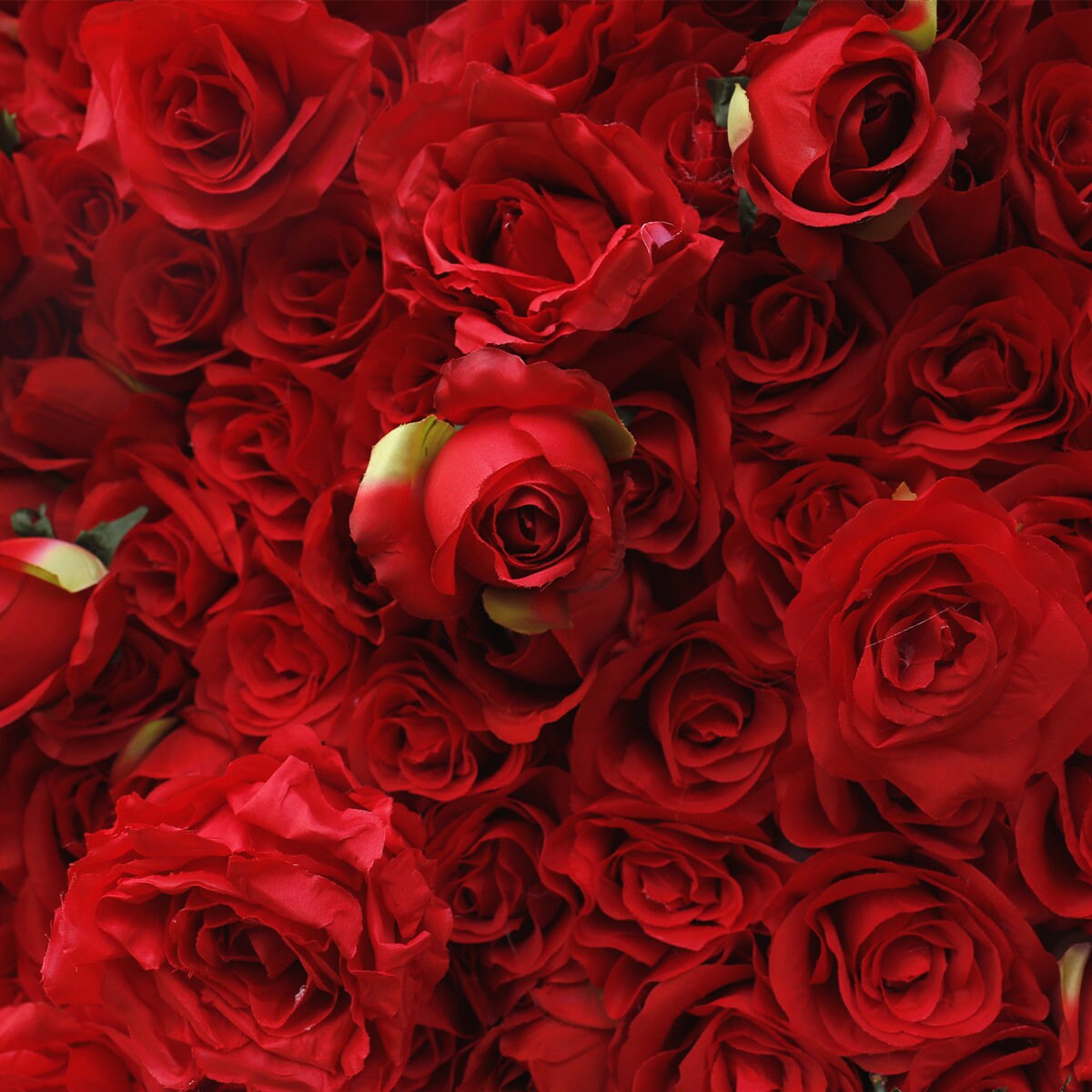 Red Wedding Flower Wall For Wedding Arrangement Event Salon Party Photography Backdrop Fabric Rolling Up Curtain Fabric Cloth
