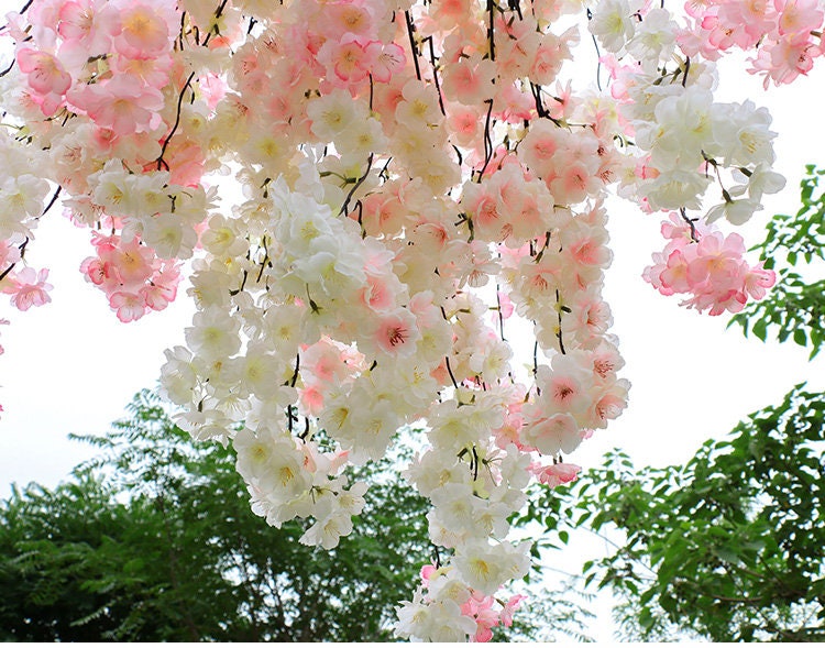 5 Stems Wedding Simulation Silk Cherry Blossom Length 140cm/55.12" Wedding Decoration Flowers Sakura Spring Hanging Basket Flower Vine