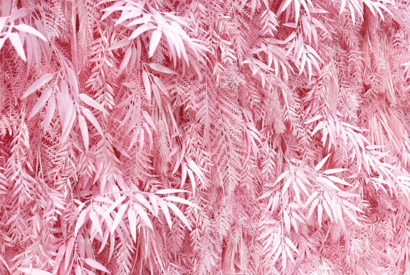 New Design Candy Pink Misty Smog Pampas Flower Wall Wedding Backdrop Decoration Artificial Silk Room 3D Roll Up Cloth Fabric