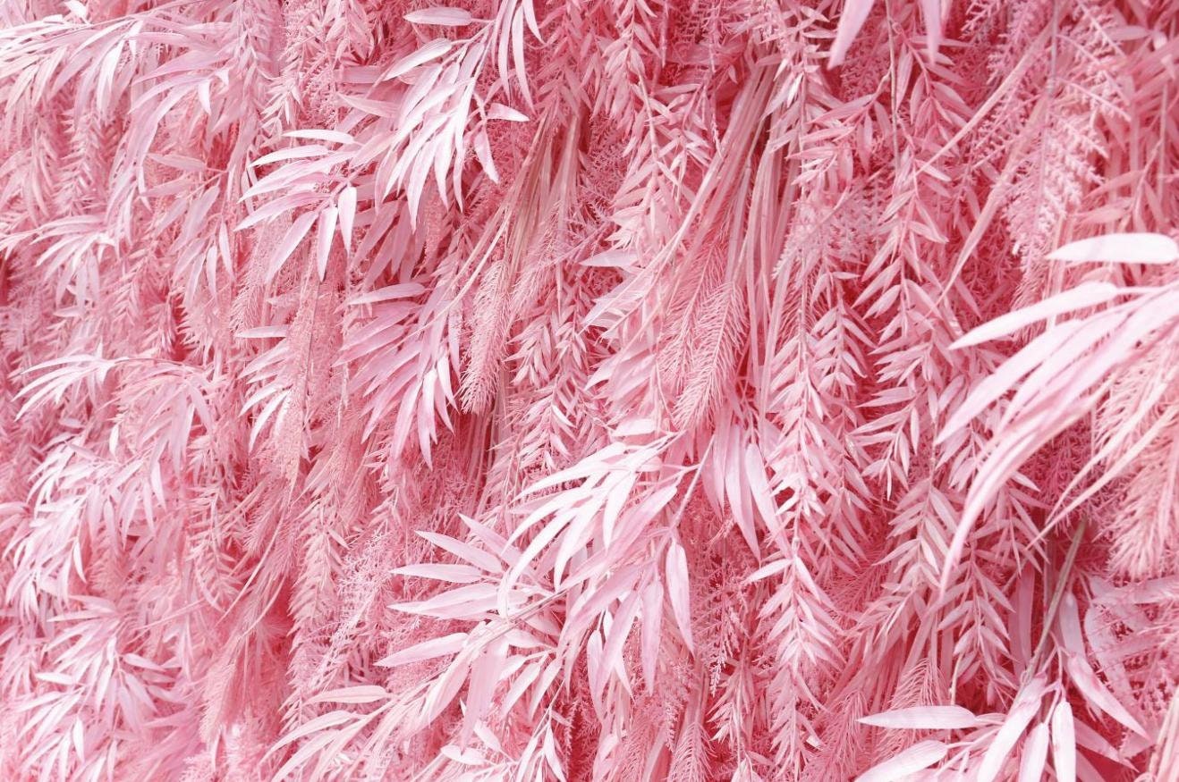 New Design Candy Pink Misty Smog Pampas Flower Wall Wedding Backdrop Decoration Artificial Silk Room 3D Roll Up Cloth Fabric