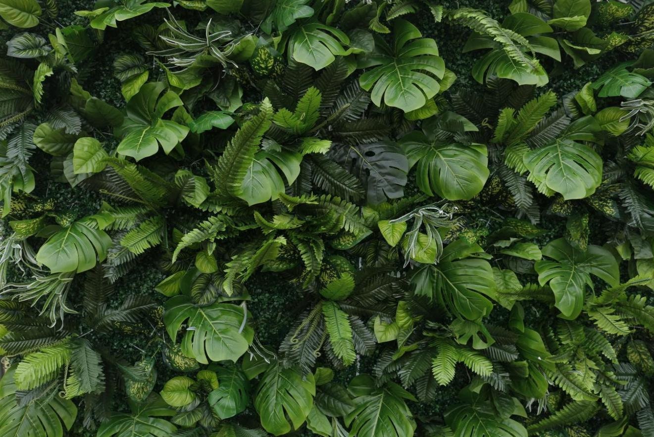 Artificial Monstera Palm Leaf Boston Fern Plant Wall For Wedding Arrangement Garden Party Backdrop Fabric Rolling Up Curtain Fabric Cloth