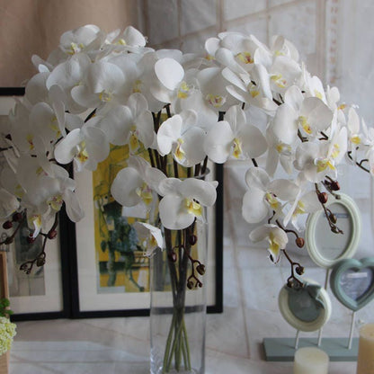 5 Stiele Feel Hand Orchideen Künstliche Simulationsblumen Hochzeit Abendessen Veranstaltungsort Dekoration Schmetterlingsorchidee Phalaenopsis Blumen