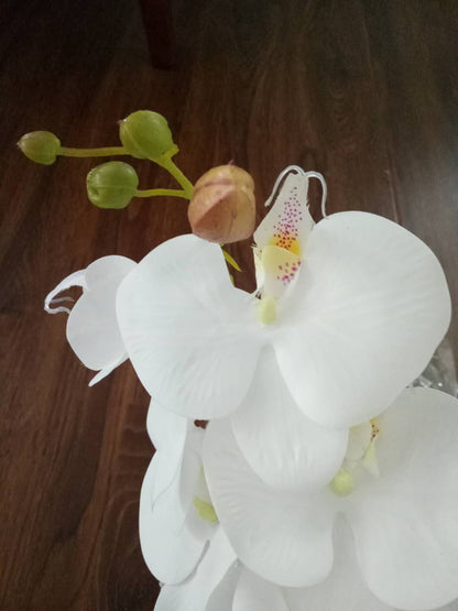 5 Stiele, fühlen sich echt an, Feuchtigkeitsorchideen, künstliche Simulationsblumen, für Hochzeit, Abendessen, Veranstaltungsort, Dekoration, Schmetterlingsorchidee, Phalaenopsis-Blumen