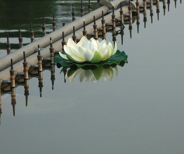 Big Size Water Lily  Diam.40cm/60cm Artificial PE Foam Lotus Flowers Simulation Water Lily Floating Pool Plants Wedding Garden Decoration