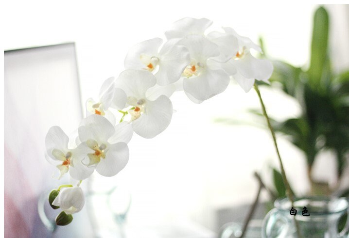 5 Stiele, fühlen sich echt an, Feuchtigkeitsorchideen, künstliche Simulationsblumen, für Hochzeit, Abendessen, Veranstaltungsort, Dekoration, Schmetterlingsorchidee, Phalaenopsis-Blumen