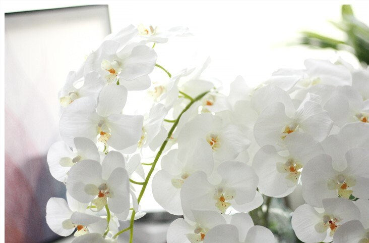 5 Stiele, fühlen sich echt an, Feuchtigkeitsorchideen, künstliche Simulationsblumen, für Hochzeit, Abendessen, Veranstaltungsort, Dekoration, Schmetterlingsorchidee, Phalaenopsis-Blumen