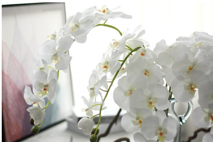 5 Stiele, fühlen sich echt an, Feuchtigkeitsorchideen, künstliche Simulationsblumen, für Hochzeit, Abendessen, Veranstaltungsort, Dekoration, Schmetterlingsorchidee, Phalaenopsis-Blumen