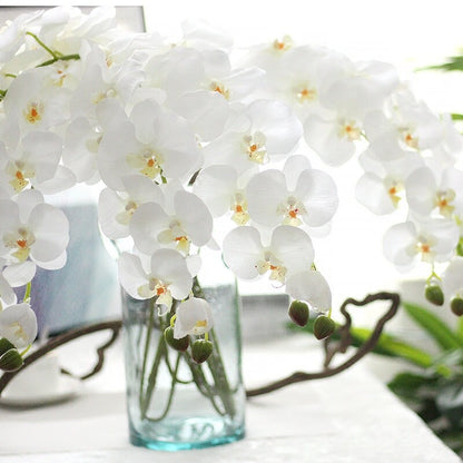 5 Stiele, fühlen sich echt an, Feuchtigkeitsorchideen, künstliche Simulationsblumen, für Hochzeit, Abendessen, Veranstaltungsort, Dekoration, Schmetterlingsorchidee, Phalaenopsis-Blumen