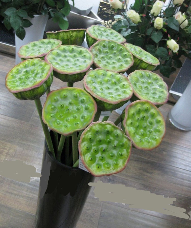 5 Stems Artificial Simulation Water Lily Seedpod Fish Tank Pond Decoration Plants Length 70cm/27.56&quot;