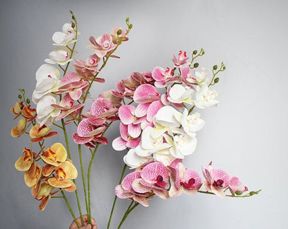 5 Stems Feel Hand Touch Simulation 3D Orchids Flowers Length 107cm/42.12&quot; Wedding Dinner Venue Decoration Butterfly Phalaenopsis Flowers