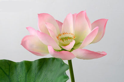 Artificial Simulation Lotus PU Real Touch Feel Hand Water Lily Fish Tank Pond Garden Decoration Floral Seedpod