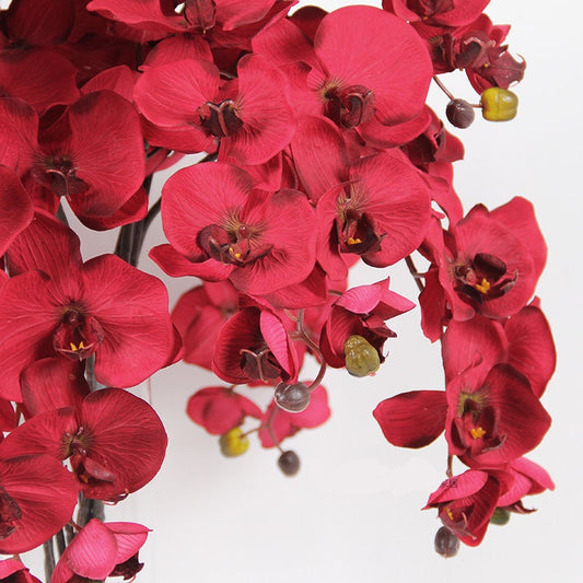 Dark Red Luxury Silk Flower Silk Butterfly Orchid Stem  37&quot; Tall  Wedding Table Centerpiece Butterfly Orchid Phalaenopsis