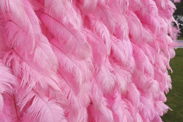 New Arrival 3D Pink Feather Wall For Wedding Arrangement Bridal Shower Salon Party Photography Backdrop Fabric Rolling Up Curtain Cloth