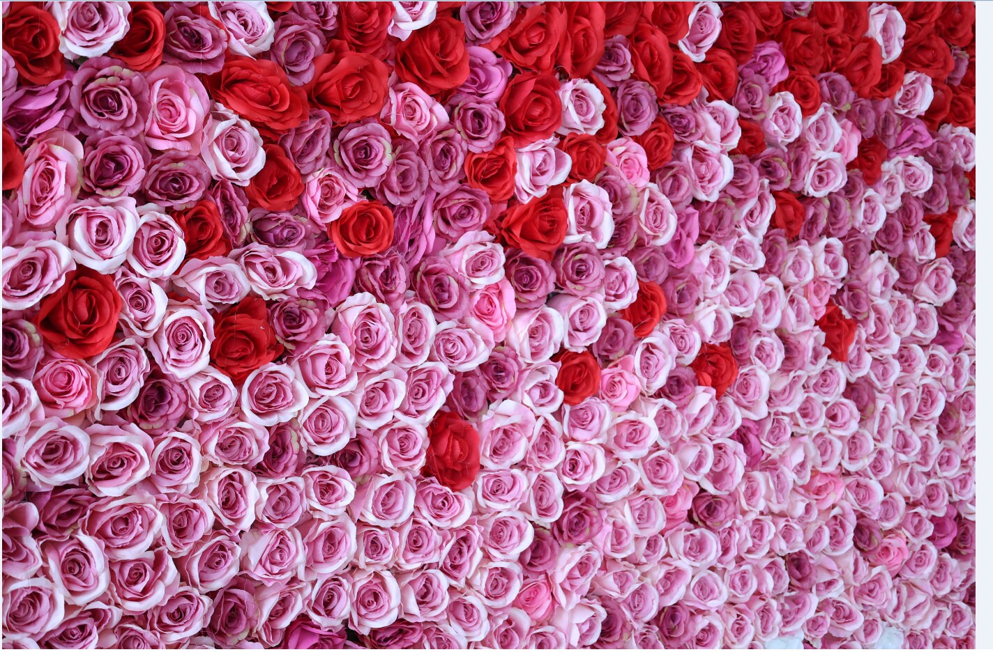New Design Gradul Colors Flower Wall For Wedding Arrangement Event Salon Party Photography Backdrop Fabric Rolling Up Curtain Fabric Cloth