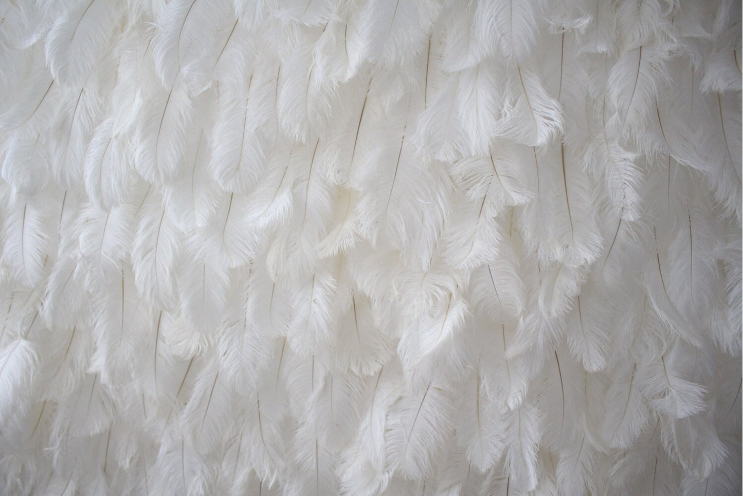 New Arrival  White Feather Wall For Wedding Arrangement Anniversary Salon Party Photography Backdrop Fabric Rolling Up Curtain Cloth